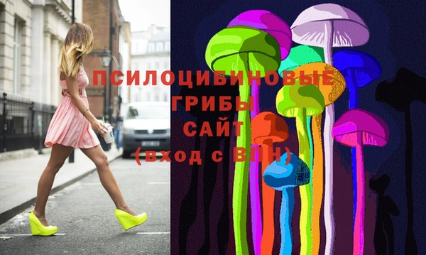 прущий лед Алзамай