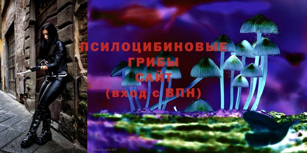 прущий лед Алзамай