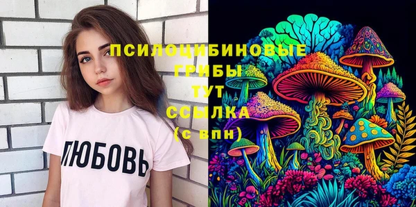 прущий лед Алзамай