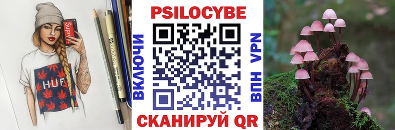 blacksprut вход  хочу   Бавлы  Псилоцибиновые грибы Cubensis 